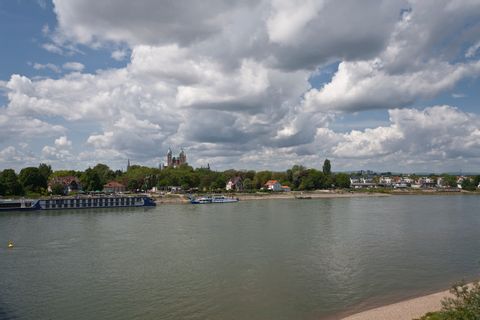 Rheinufer mit Speyerer Dom