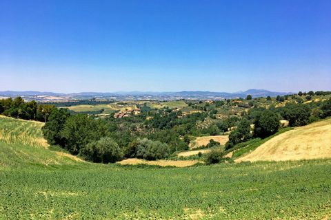 Hills in Umbria