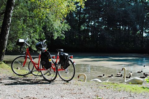 Bikes at the pond