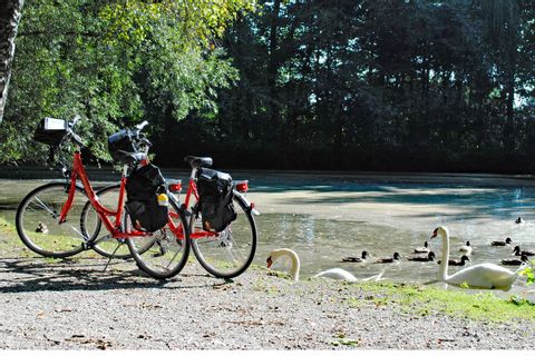 Bikes at a pond