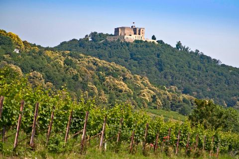 Castle Hambach high above the cycle path